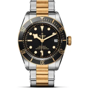 Tudor^Tudor Black Bay S&G