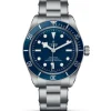 Tudor^Tudor Pelagos
